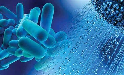 How Quickly Does Legionella Grow and How Can You Prevent it?￼